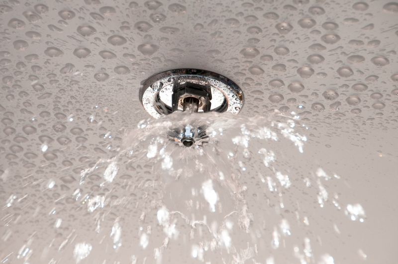 Water Leak Detection detail
